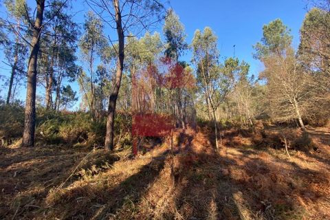 Helårsgrund i Vila Verde, Braga, Vila Verde - € 105.000 | Ref: 08766 - foto 17