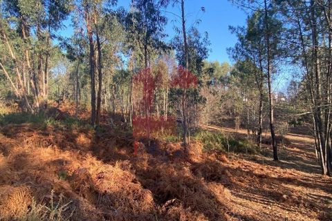 Helårsgrund i Vila Verde, Braga, Vila Verde - € 105.000 | Ref: 08766 - foto 18