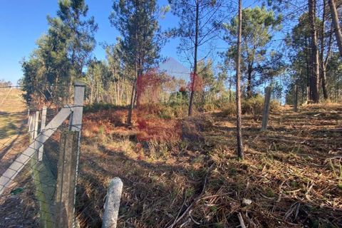 Helårsgrund i Vila Verde, Braga, Vila Verde - € 105.000 | Ref: 08766 - foto 19