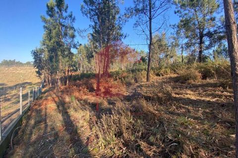 Helårsgrund i Vila Verde, Braga, Vila Verde - € 105.000 | Ref: 08766 - foto 20