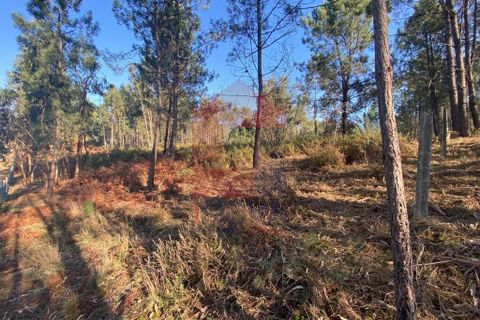 Helårsgrund i Vila Verde, Braga, Vila Verde - € 105.000 | Ref: 08766 - foto 21