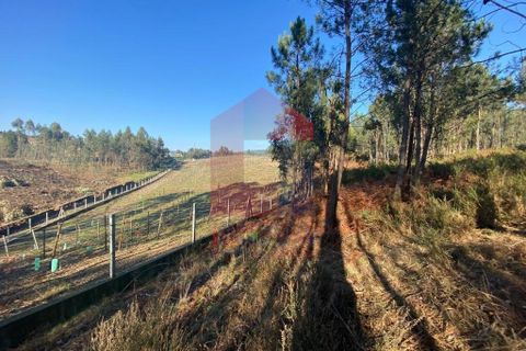 Helårsgrund i Vila Verde, Braga, Vila Verde - € 105.000 | Ref: 08766 - foto 22