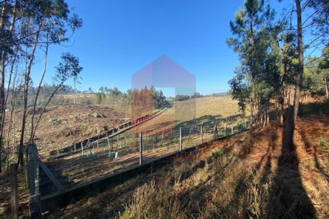 Helårsgrund i Vila Verde, Braga, Vila Verde - € 105.000 | Ref: 08766 - foto 23