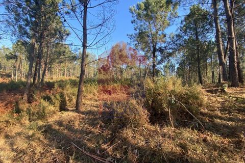 Helårsgrund i Vila Verde, Braga, Vila Verde - € 105.000 | Ref: 08766 - foto 25