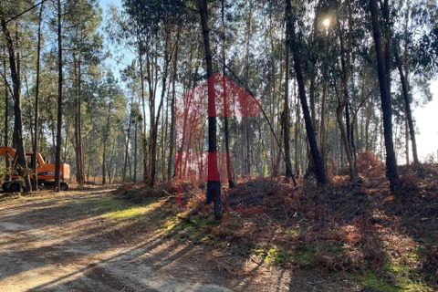 Helårsgrund i Vila Verde, Braga, Vila Verde - € 105.000 | Ref: 08766 - foto 27