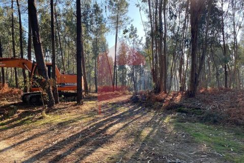 Helårsgrund i Vila Verde, Braga, Vila Verde - € 105.000 | Ref: 08766 - foto 30