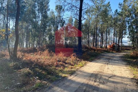 Helårsgrund i Vila Verde, Braga, Vila Verde - € 105.000 | Ref: 08766 - foto 33