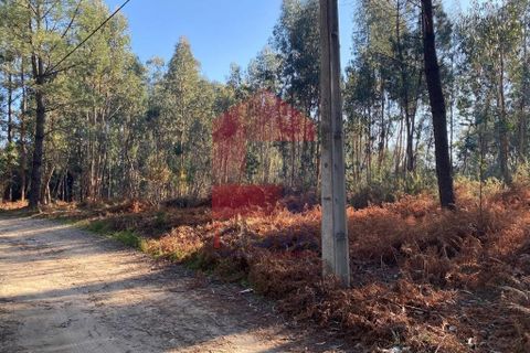 Helårsgrund i Vila Verde, Braga, Vila Verde - € 105.000 | Ref: 08766 - foto 35