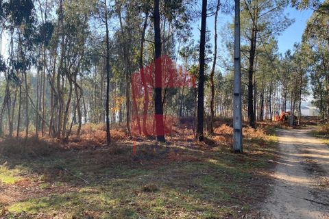 Helårsgrund i Vila Verde, Braga, Vila Verde - € 105.000 | Ref: 08766 - foto 38