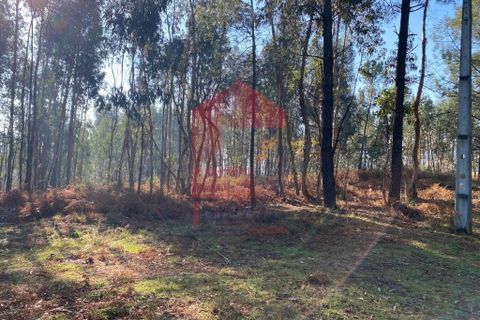 Helårsgrund i Vila Verde, Braga, Vila Verde - € 105.000 | Ref: 08766 - foto 39