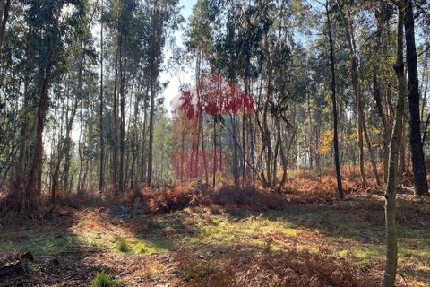 Helårsgrund i Vila Verde, Braga, Vila Verde - € 105.000 | Ref: 08766 - foto 42