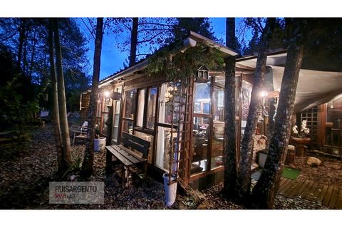 Helårsgrund i Castelo Branco, Castelo Branco, Castelo Branco - € 128.000 | Ref: SÒL_224RS130126 - foto 1
