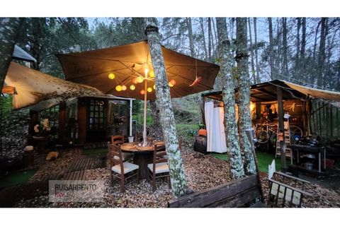 Helårsgrund i Castelo Branco, Castelo Branco, Castelo Branco - € 128.000 | Ref: SÒL_224RS130126 - foto 8