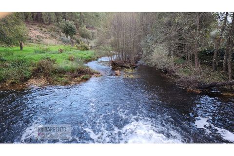 Helårsgrund i Castelo Branco, Castelo Branco, Castelo Branco - € 128.000 | Ref: SÒL_224RS130126 - foto 12