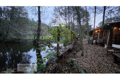 Helårsgrund i Castelo Branco, Castelo Branco, Castelo Branco - € 128.000 | Ref: SÒL_224RS130126 - foto 13