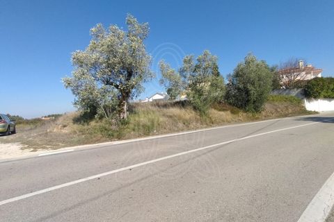 Helårsgrund i Coimbra, Coimbra, Coimbra - € 150.000 | Ref: cbr3365 - foto 5