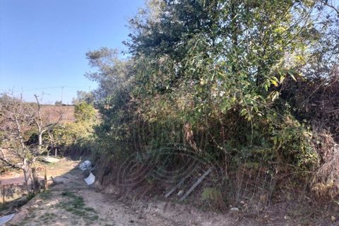 Helårsgrund i Coimbra, Coimbra, Coimbra - € 150.000 | Ref: cbr3365 - foto 10