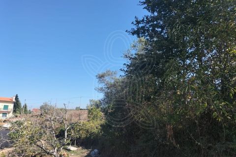 Helårsgrund i Coimbra, Coimbra, Coimbra - € 150.000 | Ref: cbr3365 - foto 11