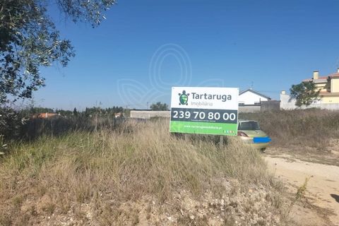 Helårsgrund i Coimbra, Coimbra, Coimbra - € 150.000 | Ref: cbr3365 - foto 12