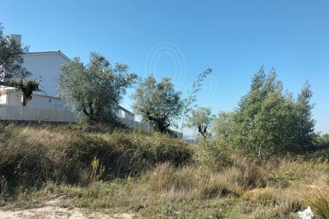 Helårsgrund i Coimbra, Coimbra, Coimbra - € 150.000 | Ref: cbr3365 - foto 13