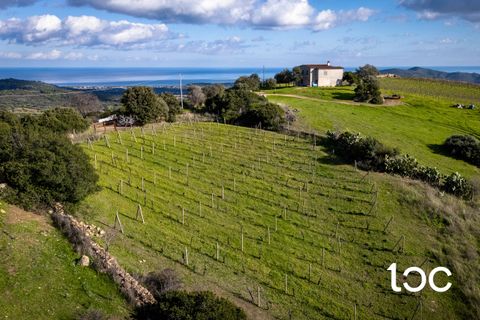 Helårsgrund i Budoni, Sassari, Budoni - € 185.000 | Ref: BD1250 - foto 2