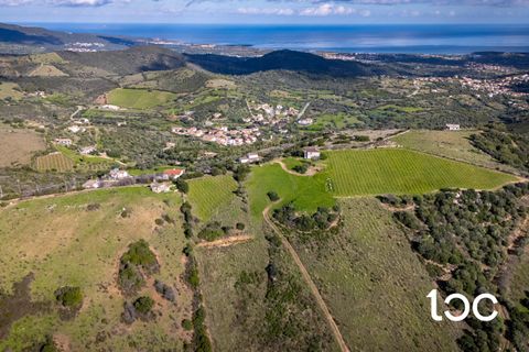 Helårsgrund i Budoni, Sassari, Budoni - € 185.000 | Ref: BD1250 - foto 4