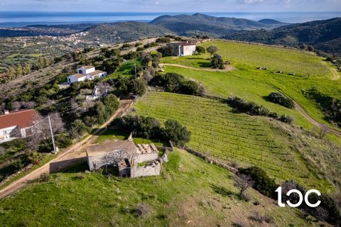Helårsgrund i Budoni, Sassari, Budoni - € 185.000 | Ref: BD1250 - foto 5