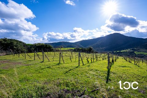 Helårsgrund i Budoni, Sassari, Budoni - € 185.000 | Ref: BD1250 - foto 6