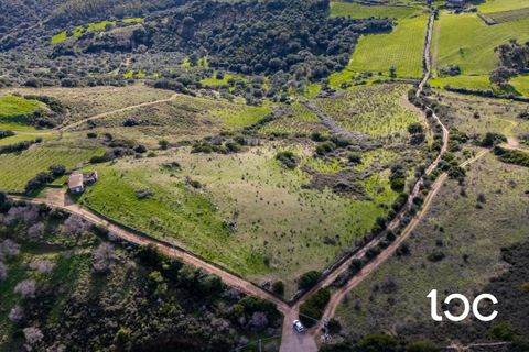 Helårsgrund i Budoni, Sassari, Budoni - € 185.000 | Ref: BD1250 - foto 7