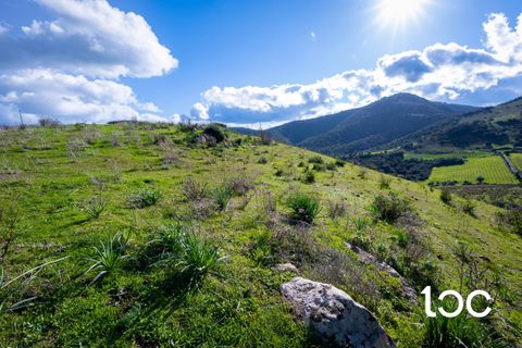 Helårsgrund i Budoni, Sassari, Budoni - € 185.000 | Ref: BD1250 - foto 8