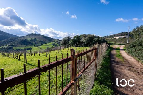 Helårsgrund i Budoni, Sassari, Budoni - € 185.000 | Ref: BD1250 - foto 11