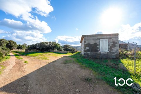Helårsgrund i Budoni, Sassari, Budoni - € 185.000 | Ref: BD1250 - foto 12