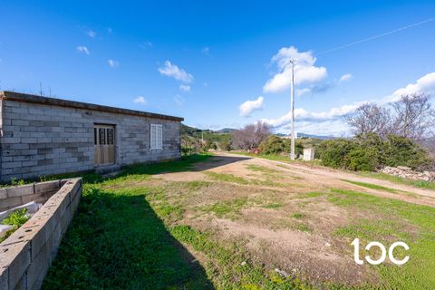 Helårsgrund i Budoni, Sassari, Budoni - € 185.000 | Ref: BD1250 - foto 13