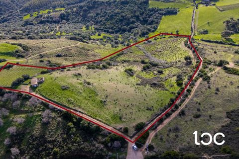 Helårsgrund i Budoni, Sassari, Budoni - € 185.000 | Ref: BD1250 - foto 15