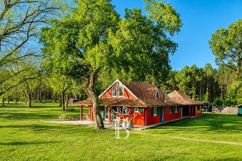 Villa i Linxe, Landes, Linxe - € 1.590.000 | Ref: M1786 - foto 5