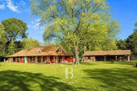 Villa i Linxe, Landes, Linxe - € 1.590.000 | Ref: M1786 - foto 40