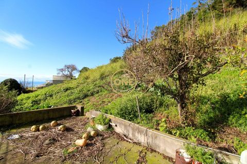 Byhus i Camara de Lobos, Madeira, Camara de Lobos - € 455.000 | Ref: ONE361961-1 - foto 29