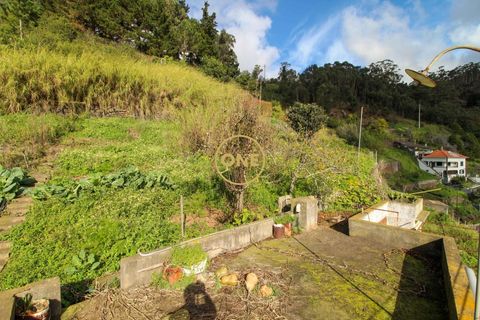 Byhus i Camara de Lobos, Madeira, Camara de Lobos - € 455.000 | Ref: ONE361961-1 - foto 30