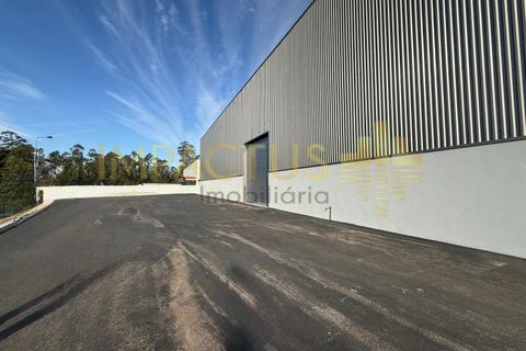 L'establiment comercial a Muro, Porto, Muro - € 4.000/mes | Ref: TC1674 - foto 9