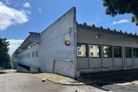 Erhvervsejendom i Carnaxide, Lisbon, Carnaxide - € 20.000.000 | Ref: PSI-216656 - foto 10