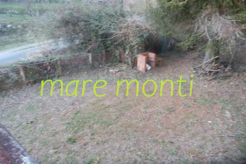 Villa a Stella, Savona, Stella - € 125.000 | Ref: 4099 - foto 36