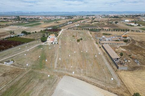 Helårsgrund i Alcochete, Setubal, Alcochete - € 640.000 | Ref: 305.015.002 - foto 3