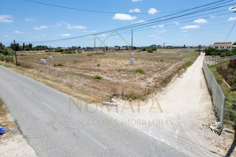 Helårsgrund i Alcochete, Setubal, Alcochete - € 640.000 | Ref: 305.015.002 - foto 4