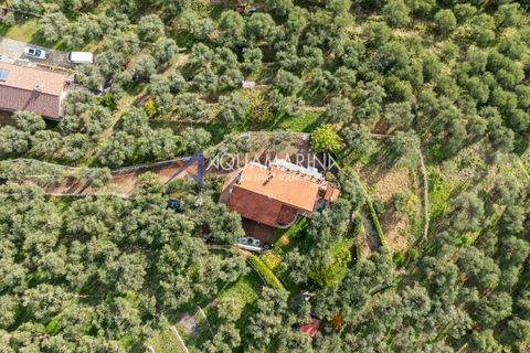 Villa i Imperia, Imperia, Imperia - € 720.000 | Ref: 14116 - foto 5
