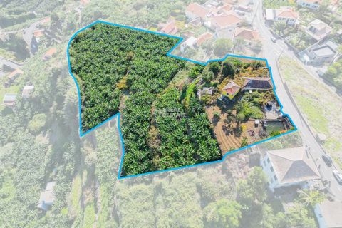 Villa i Ponta do Sol, Madeira, Ponta do Sol - € 1.300.000 | Ref: 071961 - foto 4