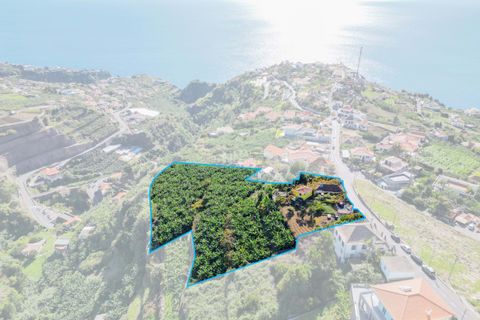 Villa i Ponta do Sol, Madeira, Ponta do Sol - € 1.300.000 | Ref: 071961 - foto 5