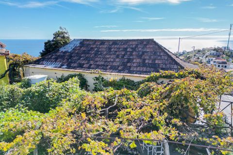 Villa i Ponta do Sol, Madeira, Ponta do Sol - € 1.300.000 | Ref: 071961 - foto 8