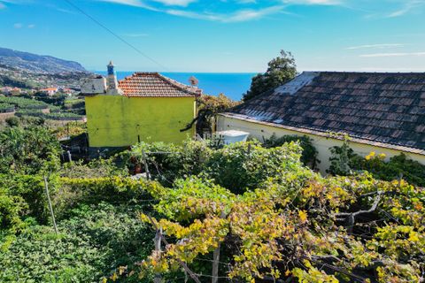 Villa i Ponta do Sol, Madeira, Ponta do Sol - € 1.300.000 | Ref: 071961 - foto 9