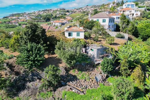 Villa i Ponta do Sol, Madeira, Ponta do Sol - € 1.300.000 | Ref: 071961 - foto 10