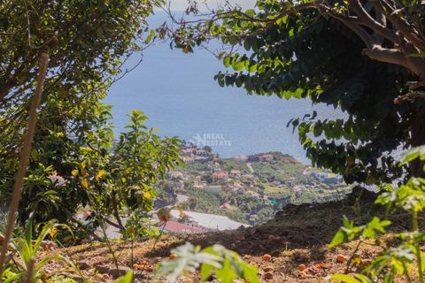 Villa i Ponta do Sol, Madeira, Ponta do Sol - € 1.300.000 | Ref: 071961 - foto 14